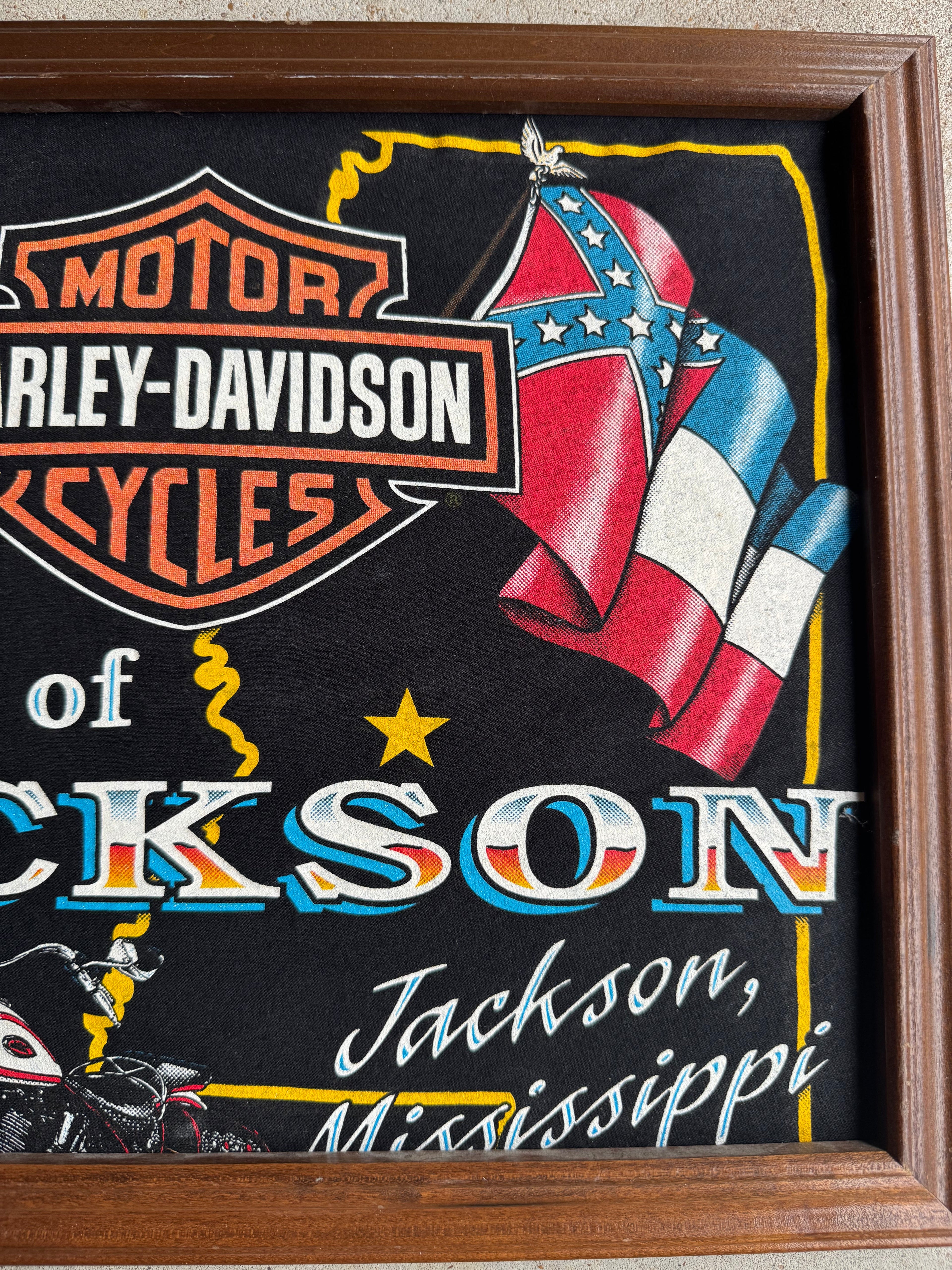 Vintage Harley Davidson Wall Hanger.