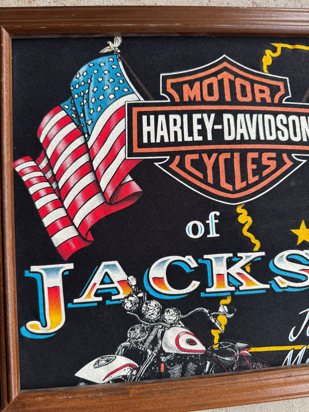 Vintage Harley Davidson Wall Hanger.