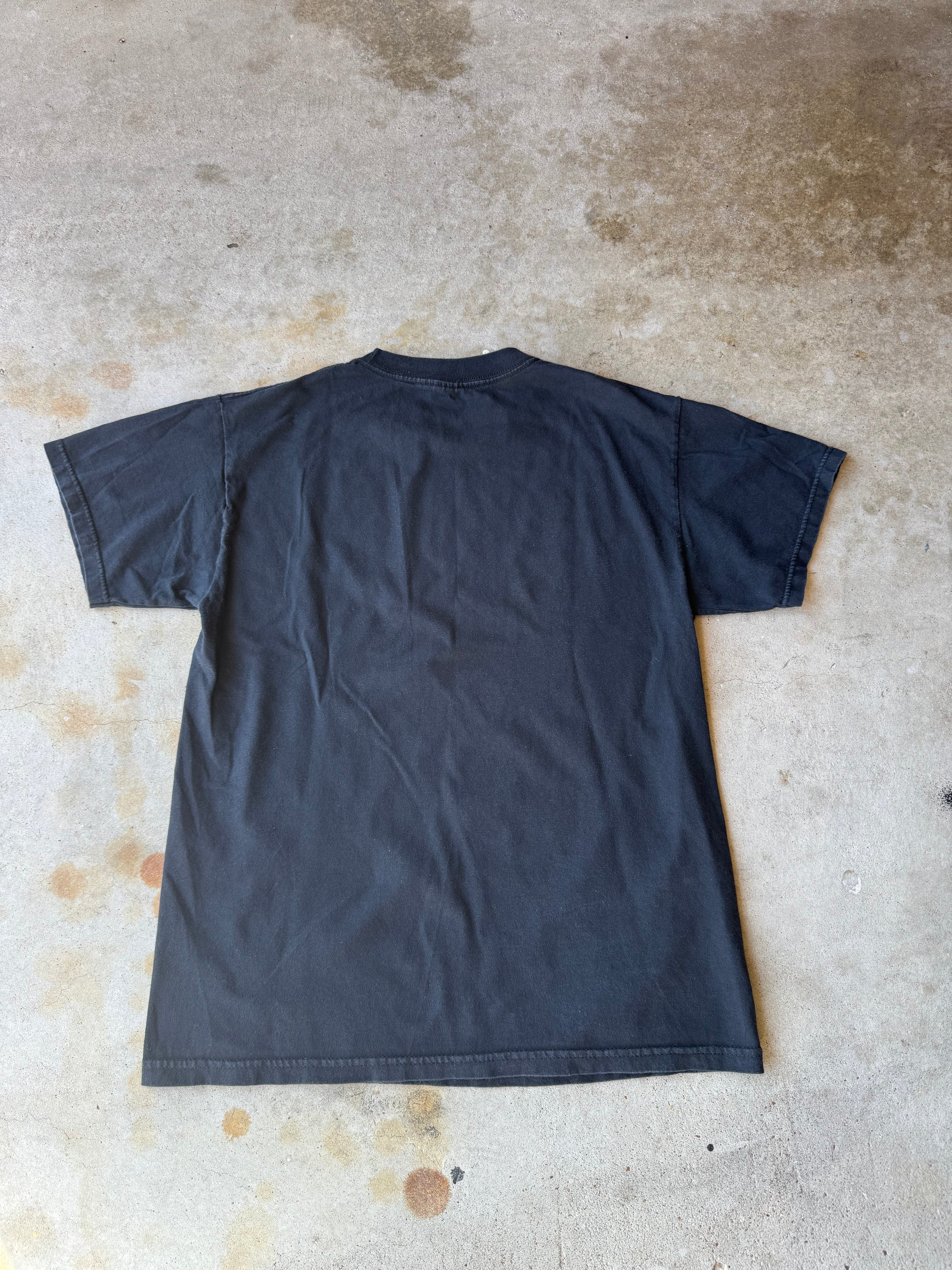 Early 2000's Kid Rock T Shirt (Mens Medium)
