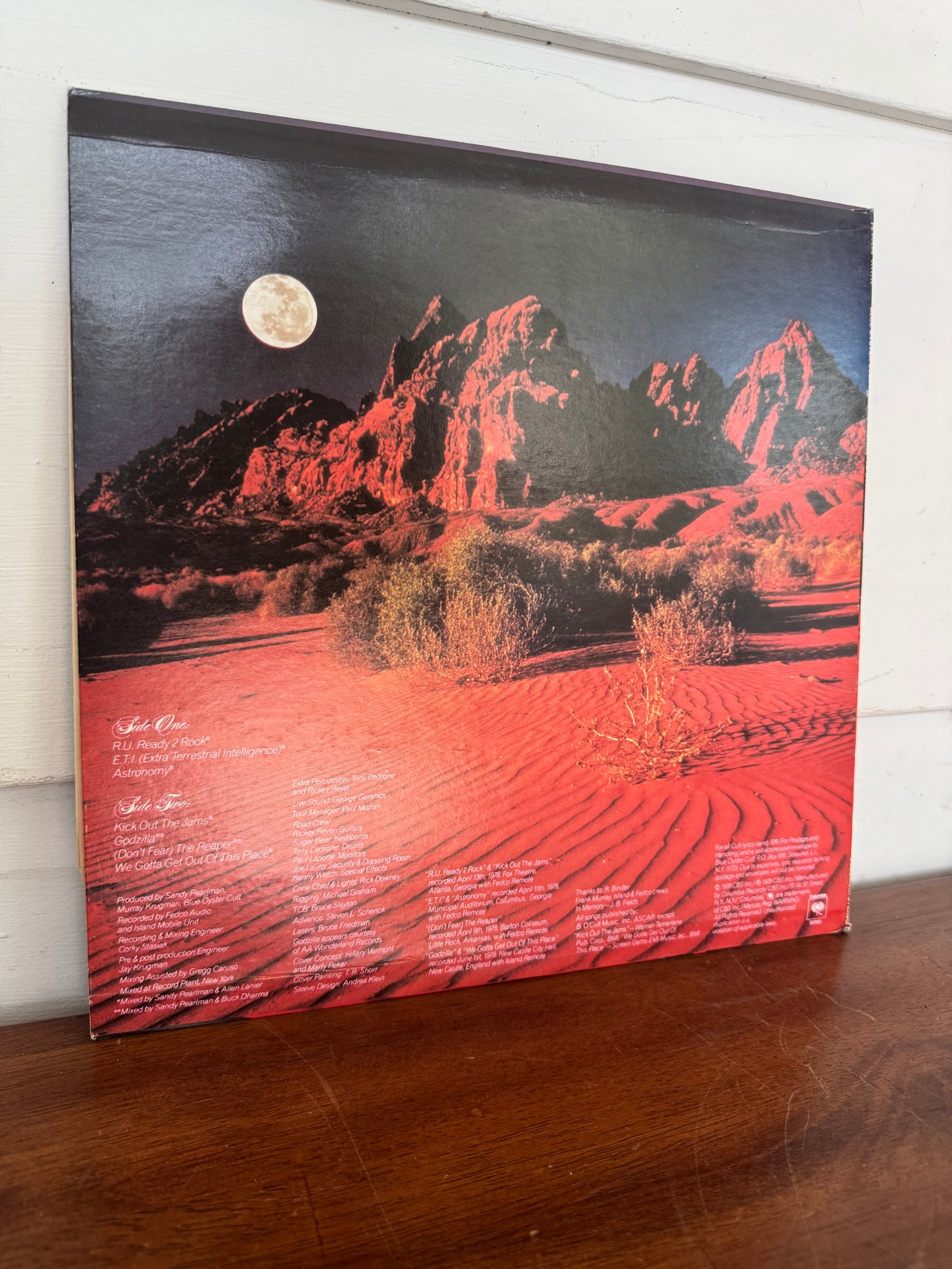 Blue Oyster Cult Some Enchanted Evening Original 1978 Print